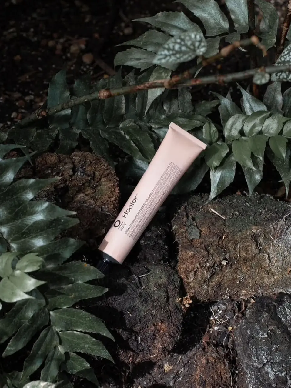 カラーイメージ